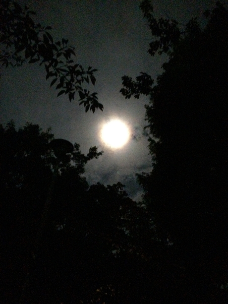 c0283778_19145437.jpg