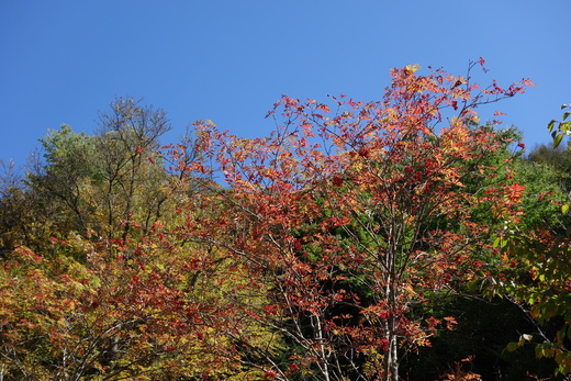 b0074992_17255471.jpg