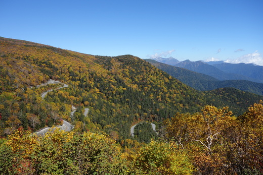 b0074992_17372071.jpg