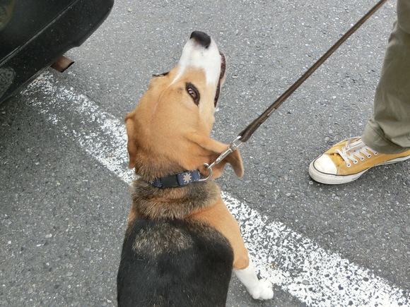 a0319693_1522108.jpg