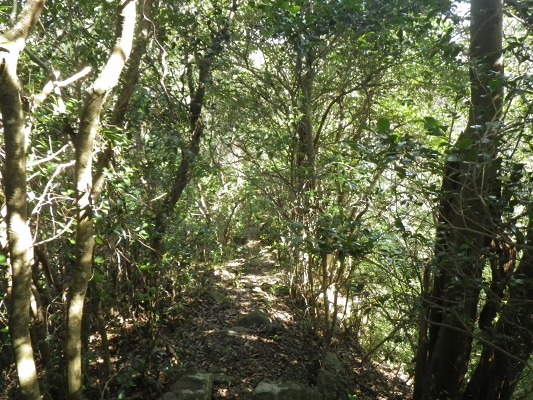 f0187402_20413597.jpg