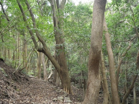 f0187402_20423754.jpg