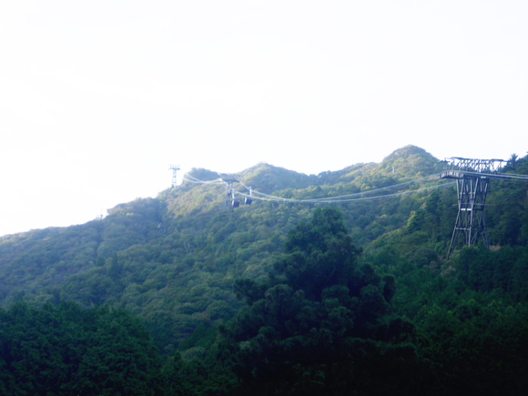 d0170615_4184439.jpg