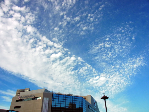 e0083517_22241209.jpg