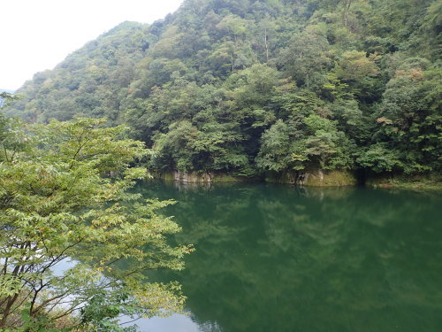 a0315918_17541349.jpg