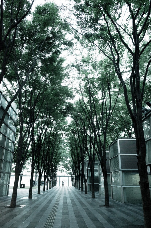 b0042134_11112665.jpg