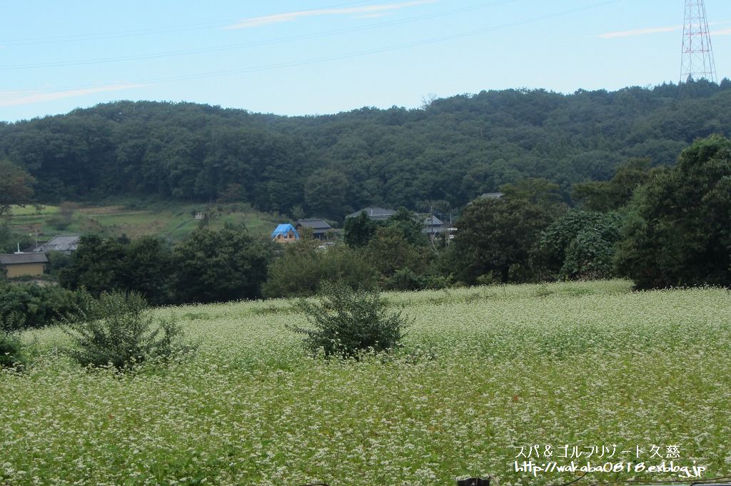 e0052135_2229511.jpg