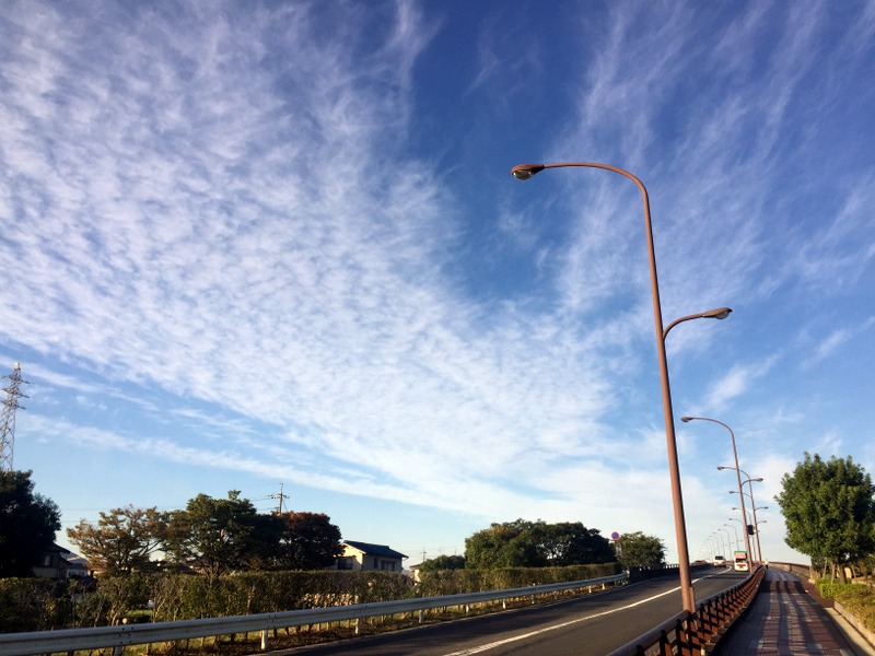 b0057140_18471898.jpg