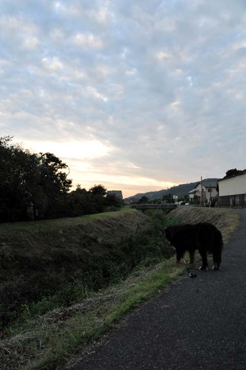b0075541_323996.jpg
