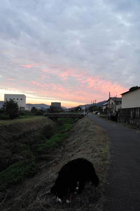 b0075541_333891.jpg