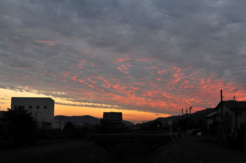 b0075541_335699.jpg