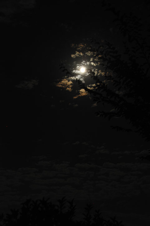 b0075541_355238.jpg
