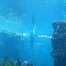 b0277645_3293053.jpg