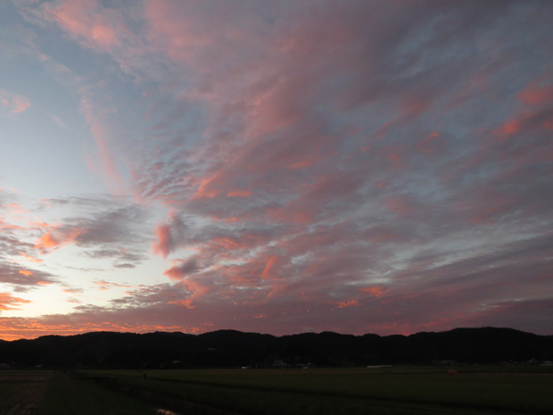 f0214649_4175993.jpg