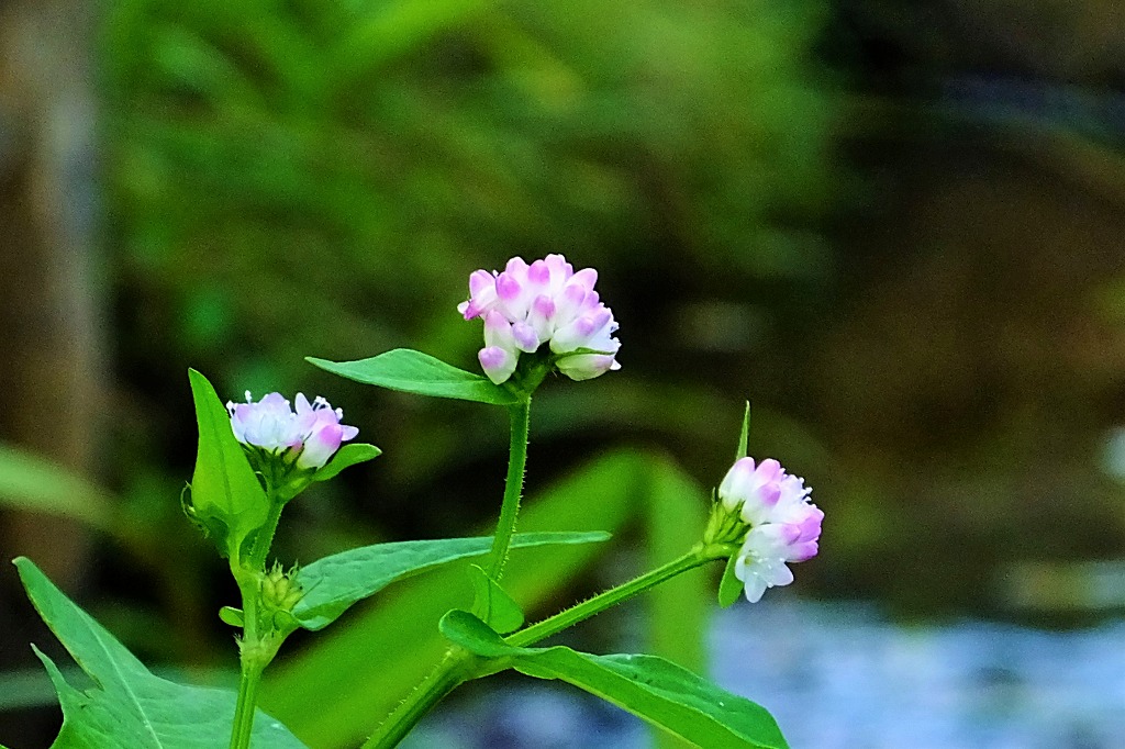 b0236251_14534339.jpg