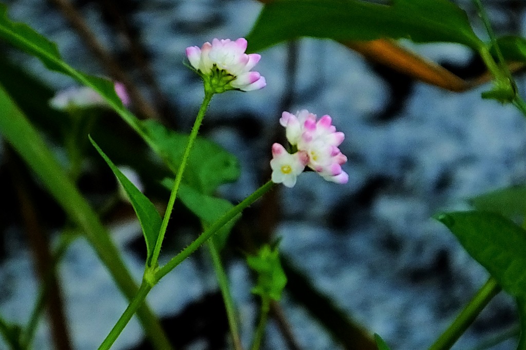 b0236251_14535069.jpg