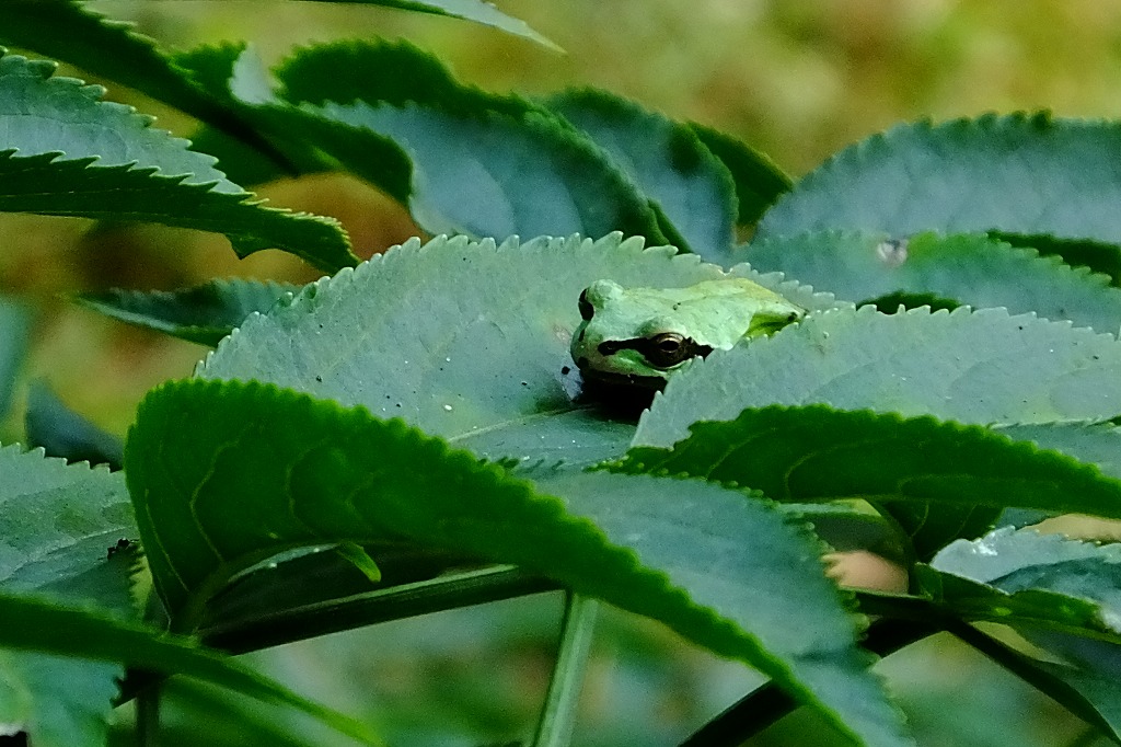 b0236251_14553134.jpg