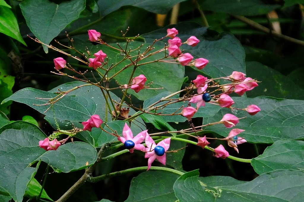 b0236251_14563796.jpg