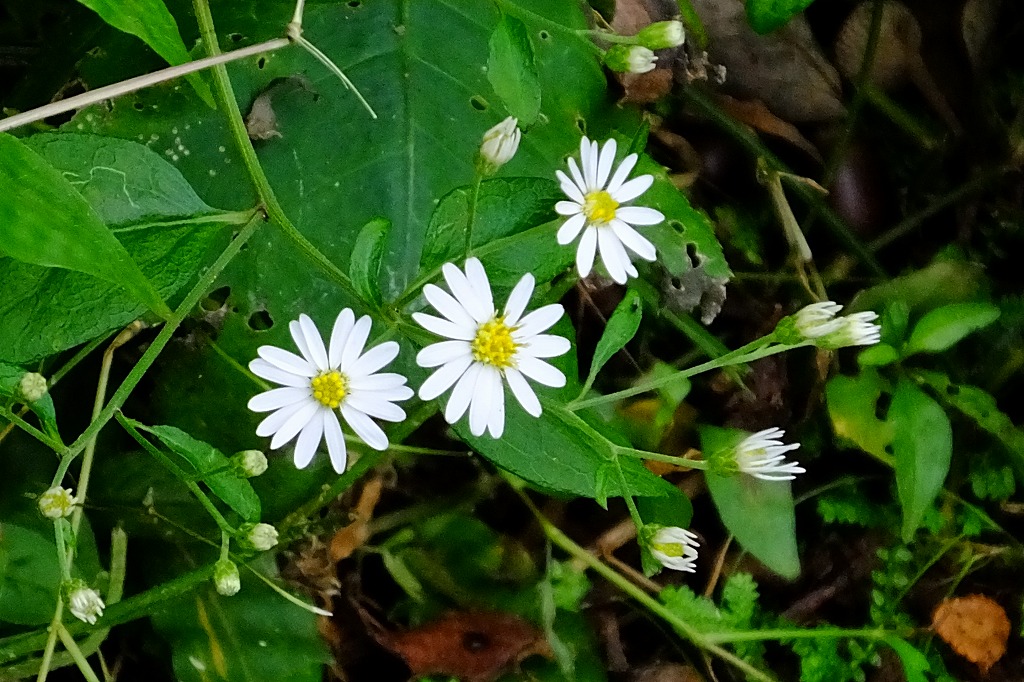 b0236251_14592133.jpg