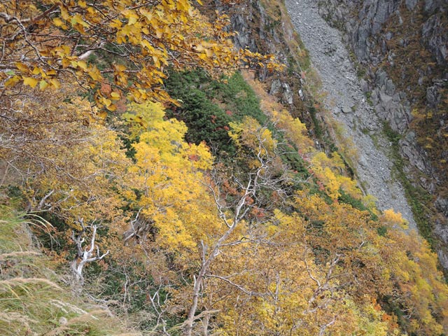 c0116856_045158.jpg