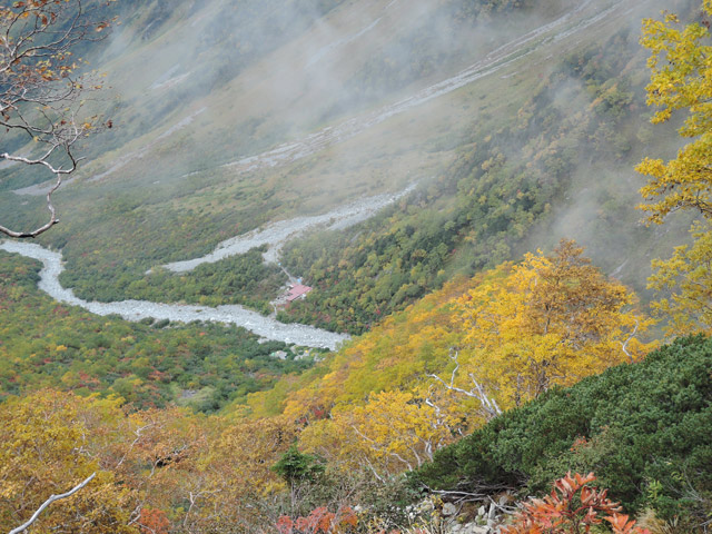 c0116856_05136.jpg