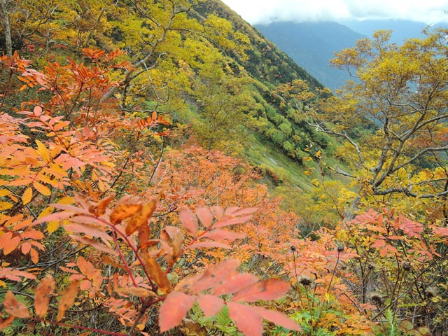 c0116856_051566.jpg