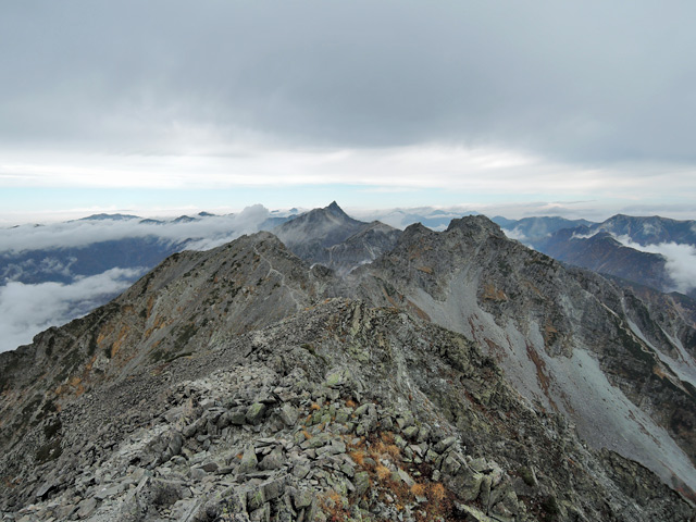 c0116856_818414.jpg