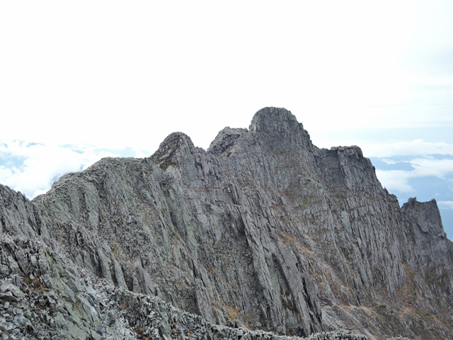 c0116856_819277.jpg