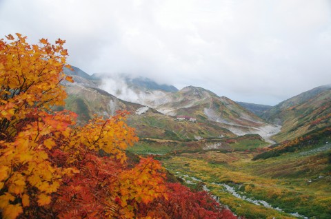 e0045768_22173321.jpg