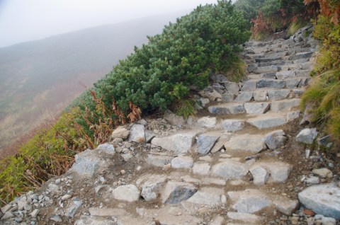 e0045768_22231640.jpg
