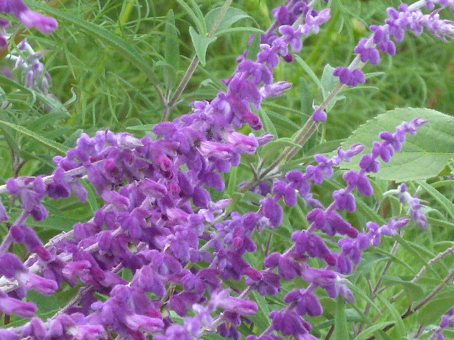 e0278968_23295140.jpg