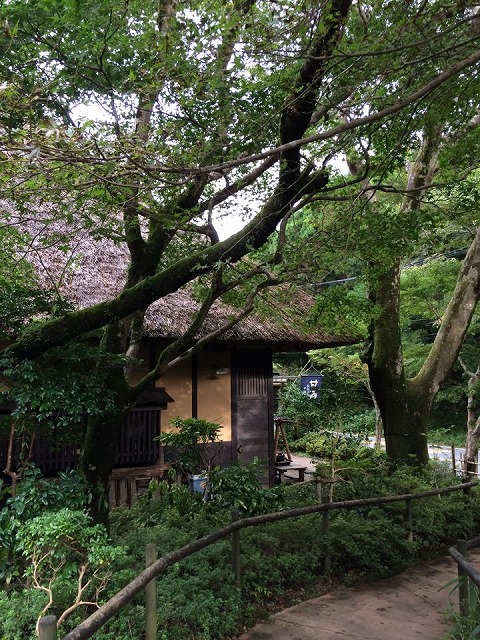 d0143678_033651.jpg