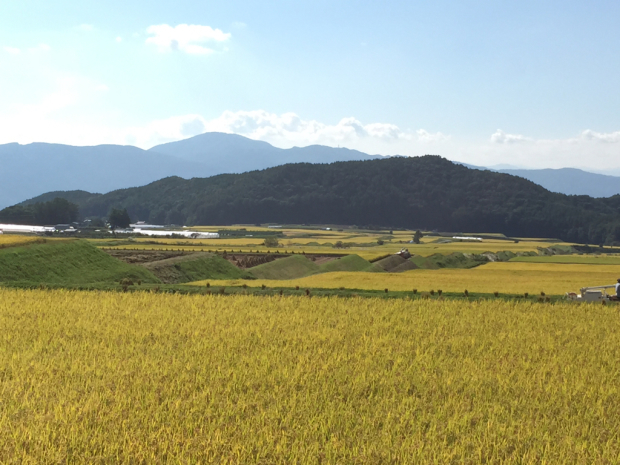 a0091680_23424517.jpg