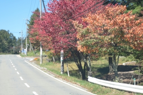 c0348784_19201737.jpg
