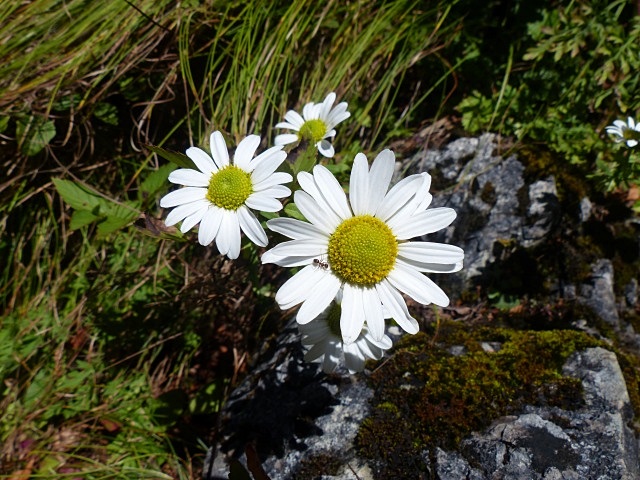 f0357487_22353111.jpg