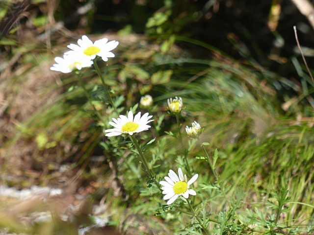 f0357487_22354878.jpg