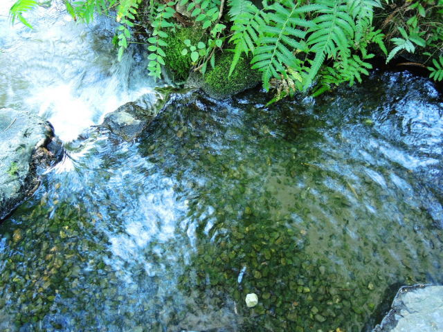 f0100593_20213704.jpg