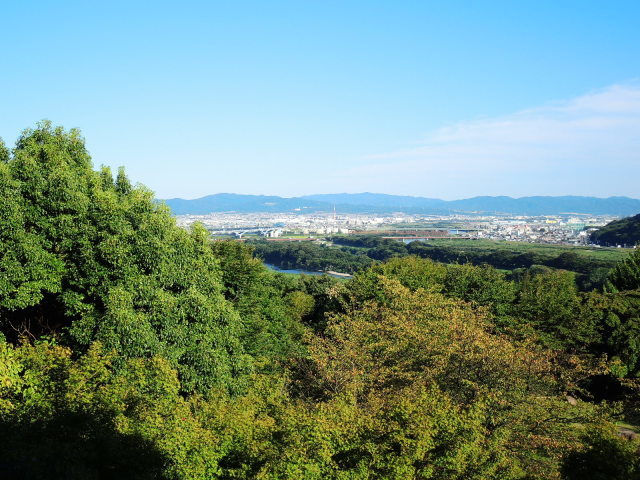 f0100593_20220651.jpg