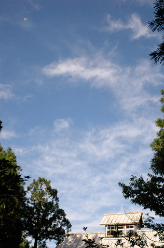 a0061599_7331751.jpg