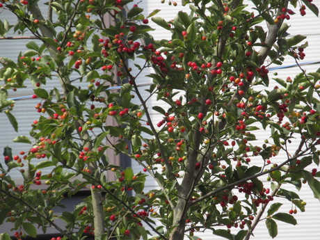 a0203003_1247578.jpg