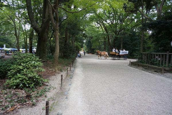f0036603_22192236.jpg