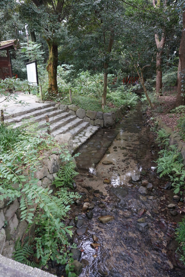 f0036603_22213063.jpg