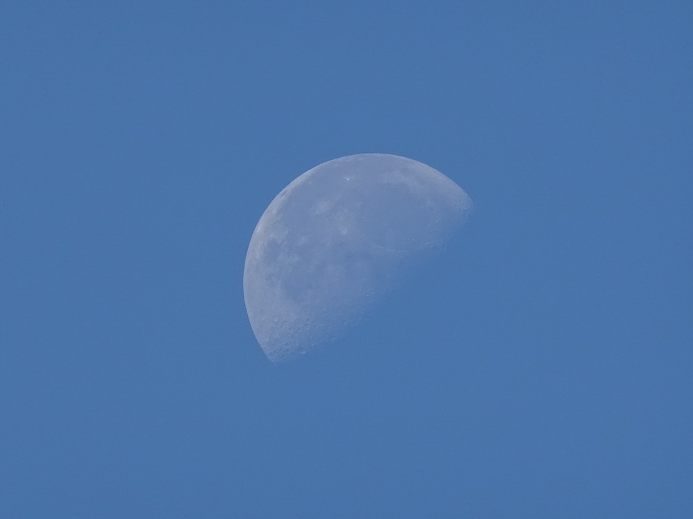 b0052108_7572669.jpg