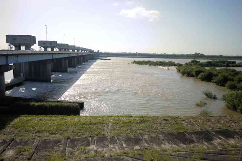 b0000209_631279.jpg