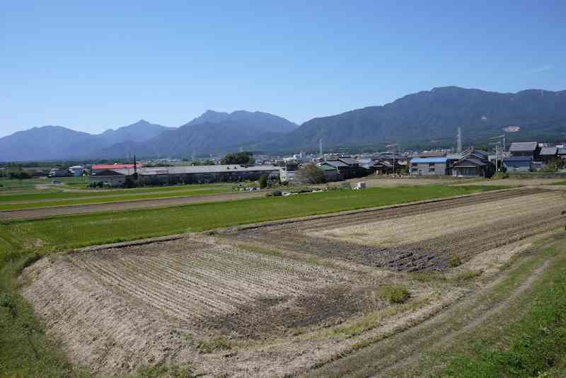 b0000209_6333649.jpg