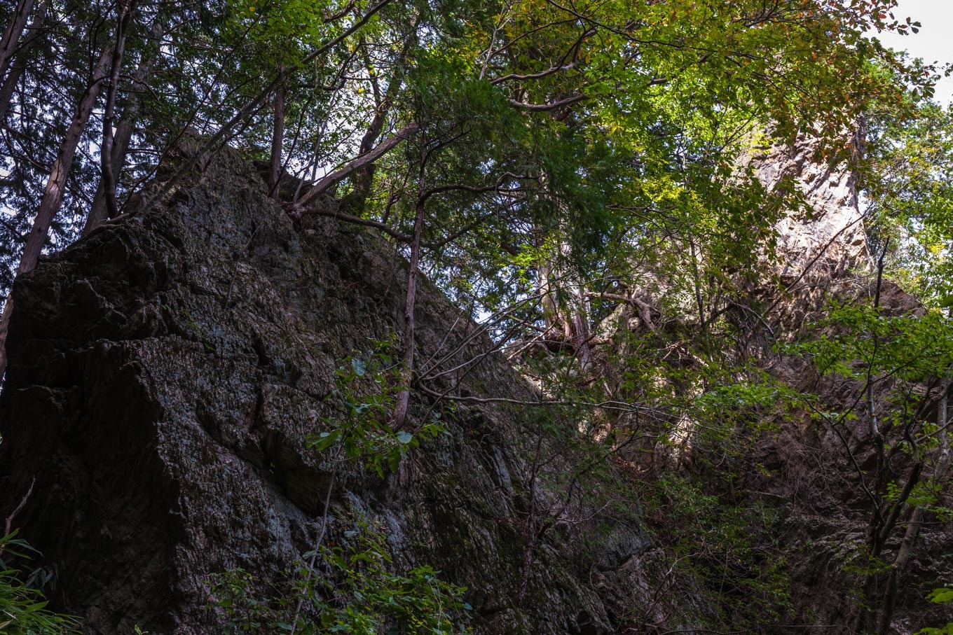 c0369219_15353576.jpg