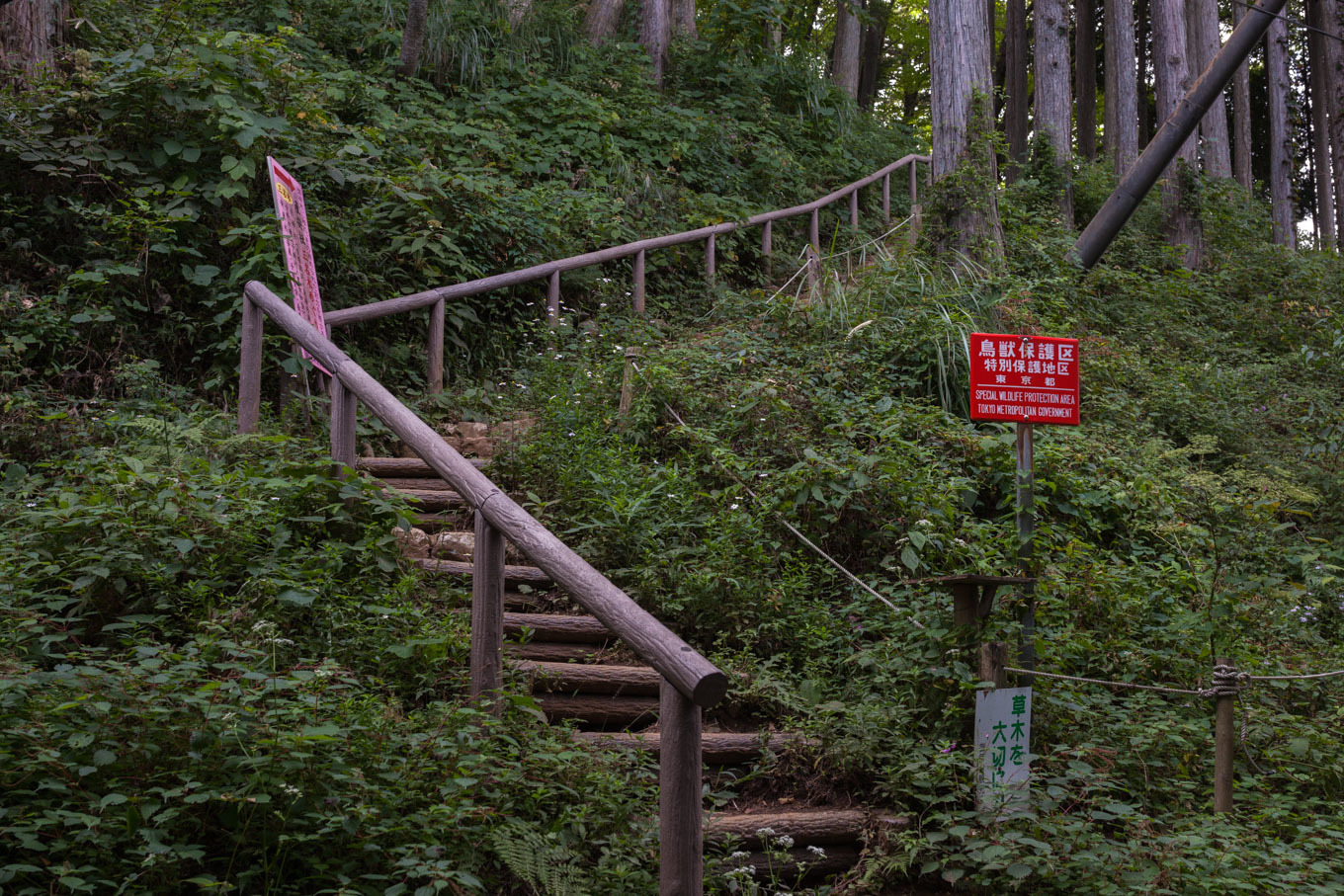 c0369219_18251255.jpg