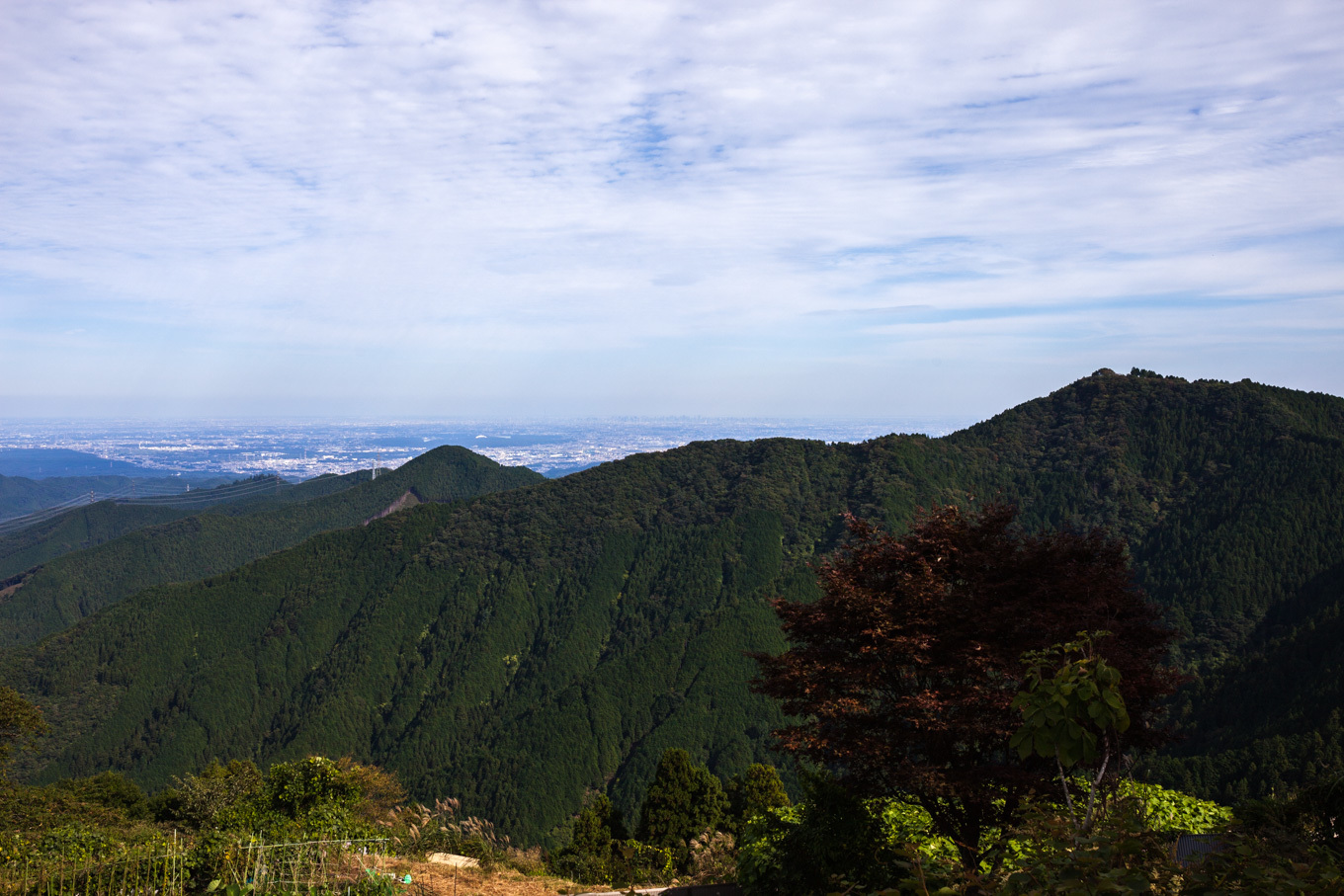 c0369219_18305741.jpg