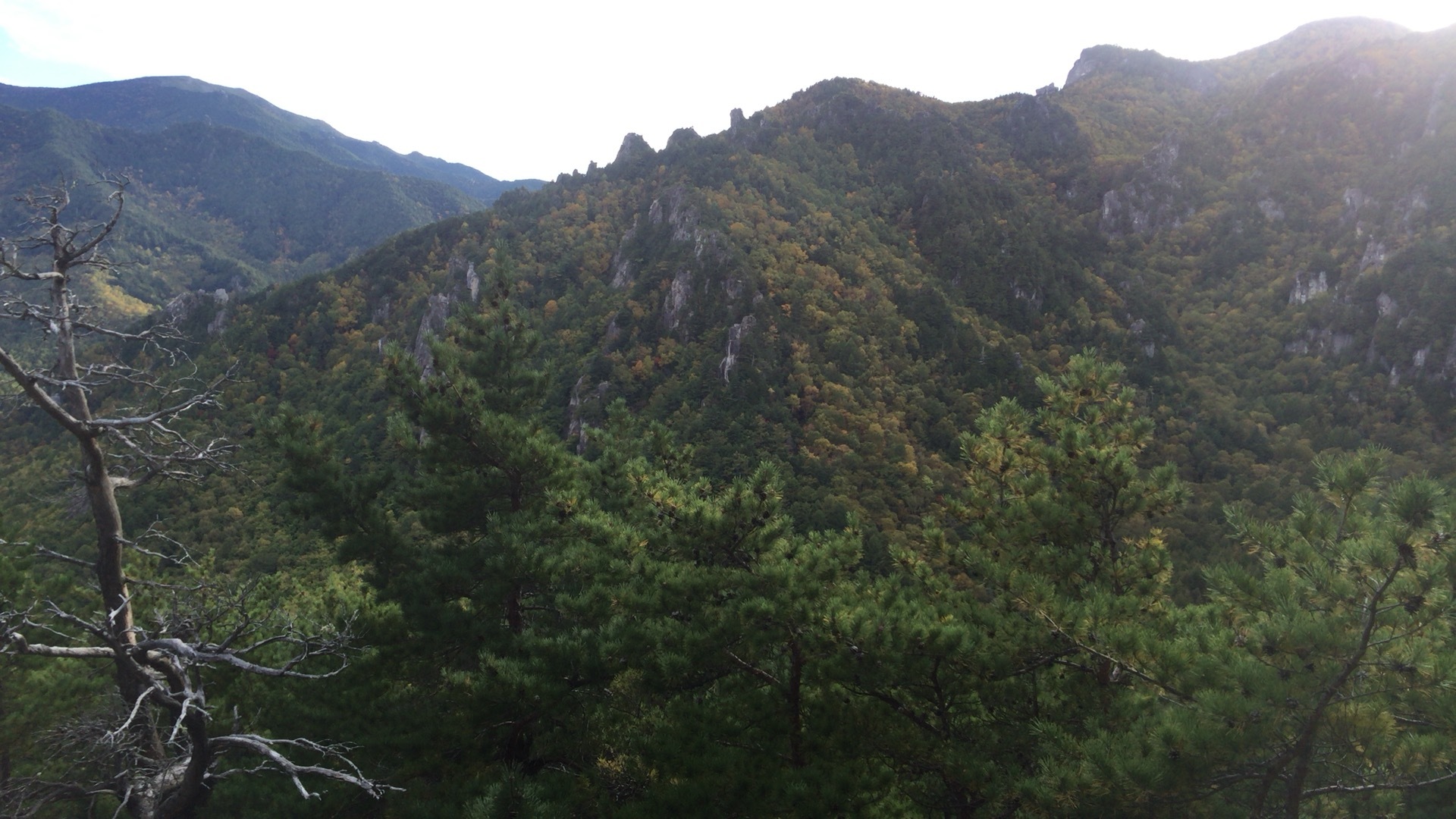 b0037220_23503398.jpg