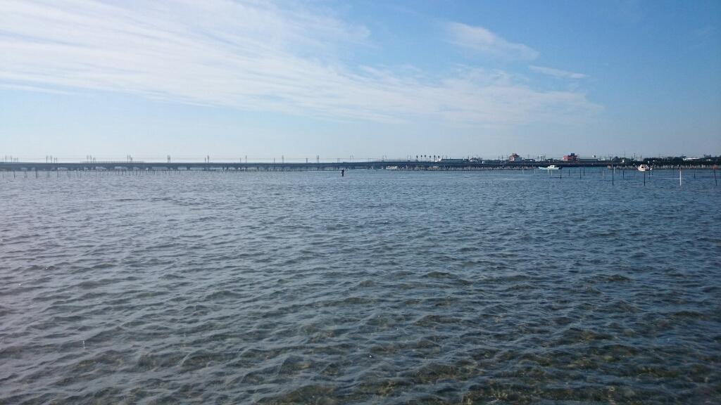 b0259124_20555378.jpg